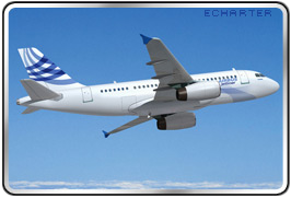 Airbus 319 Corporate Jet Charter